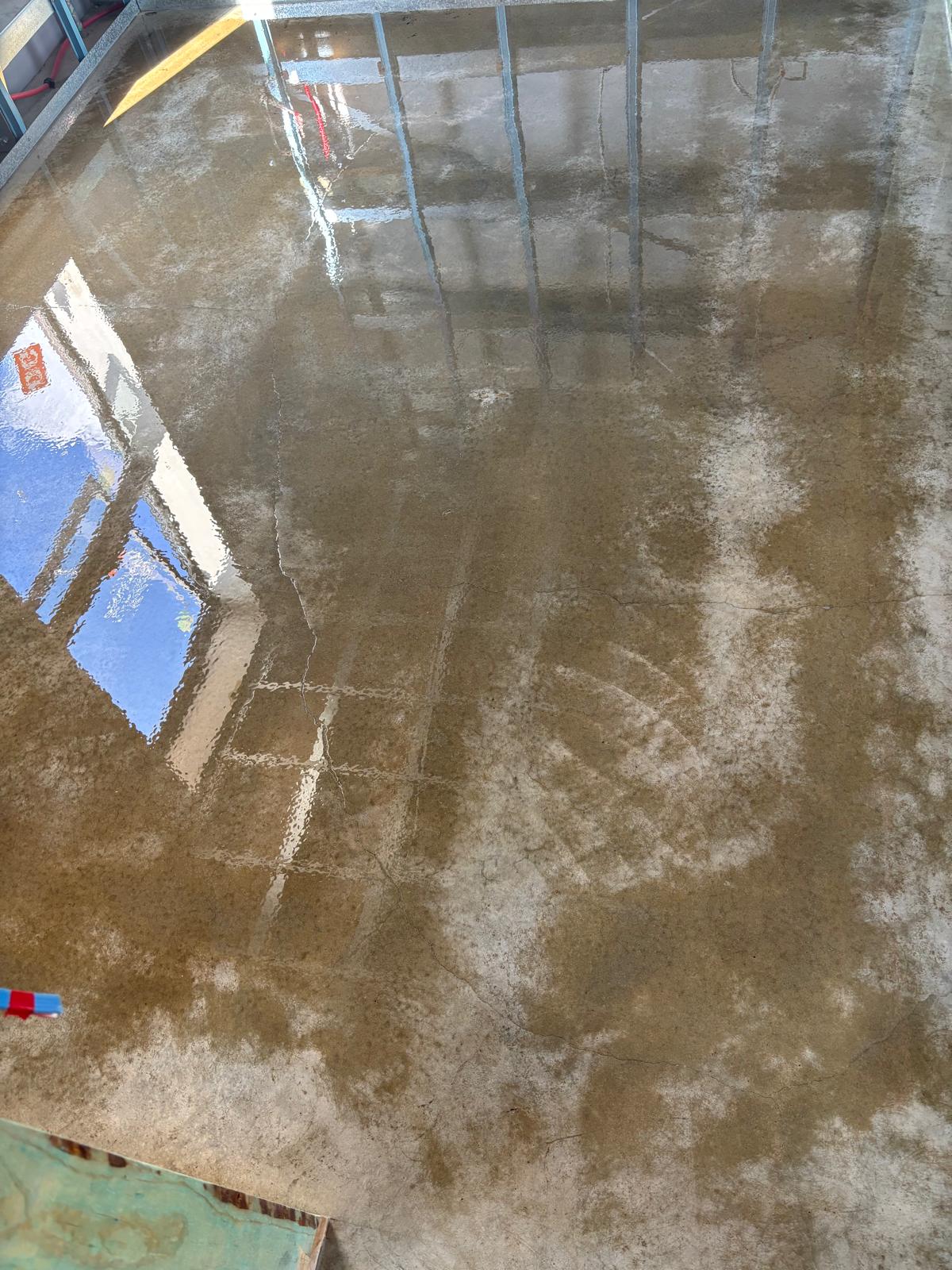 Completed epoxy garage floor in Williamstown